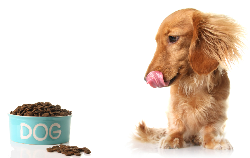 Resources for Consultants The Eat Your Own Dog Food Audit