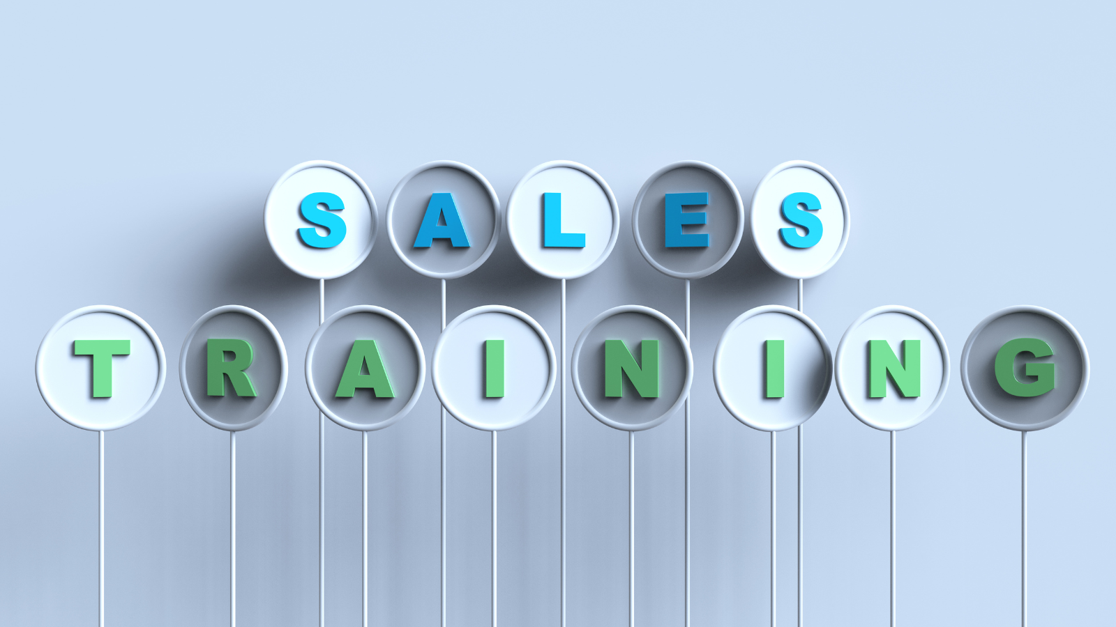 SALES PERFORMANCE Why Sales Training Fails