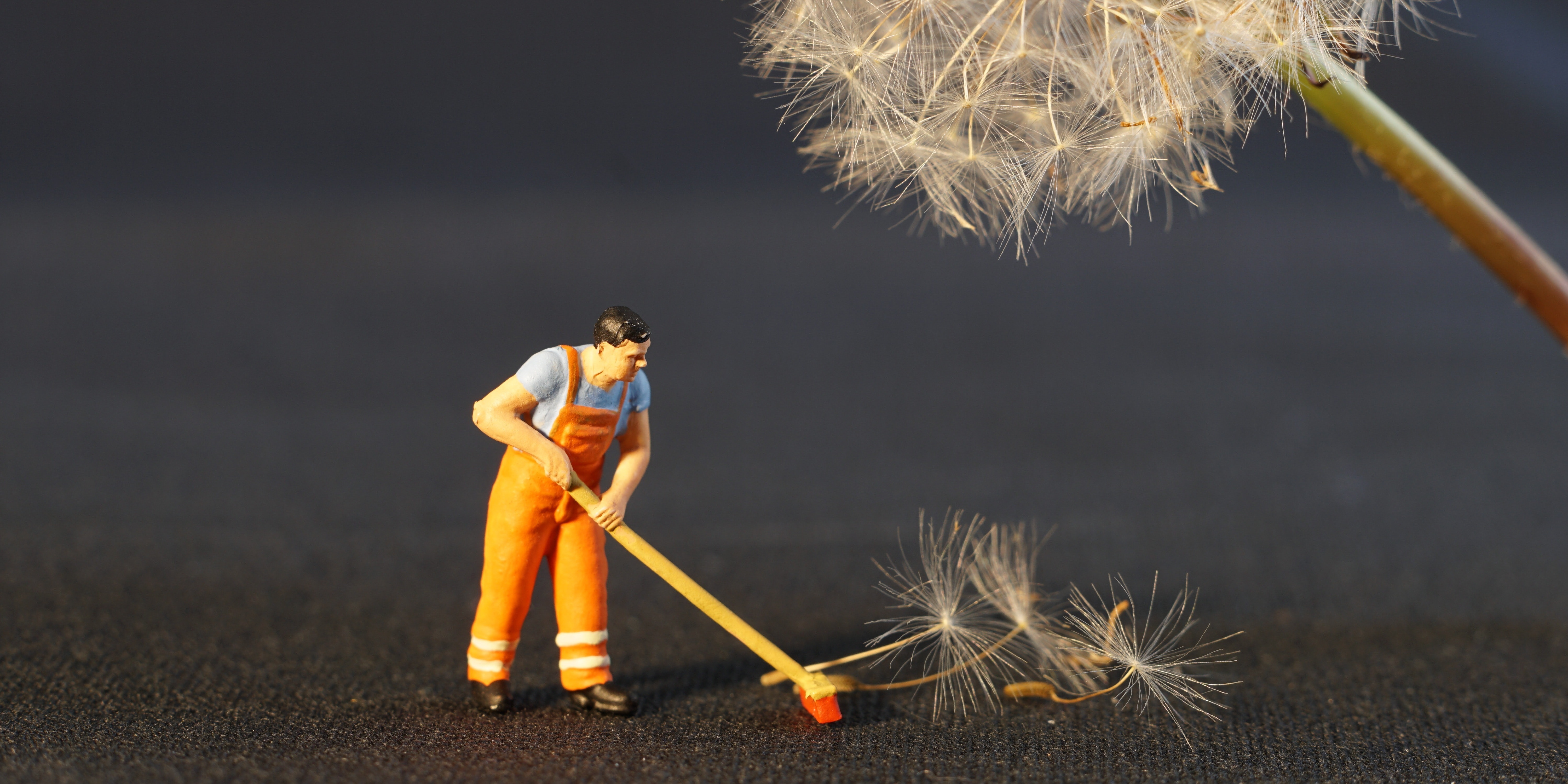 spring cleaning your sales account list